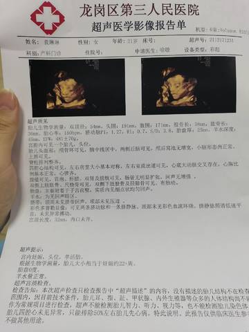 journal_insert_pic_1681578677