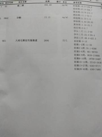 journal_insert_pic_1674929650