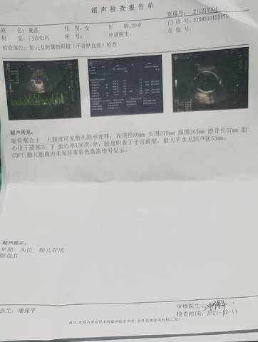 journal_insert_pic_1678064433