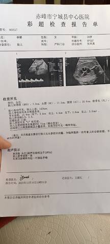 journal_insert_pic_1680978196