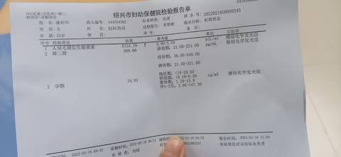 journal_insert_pic_1719846466