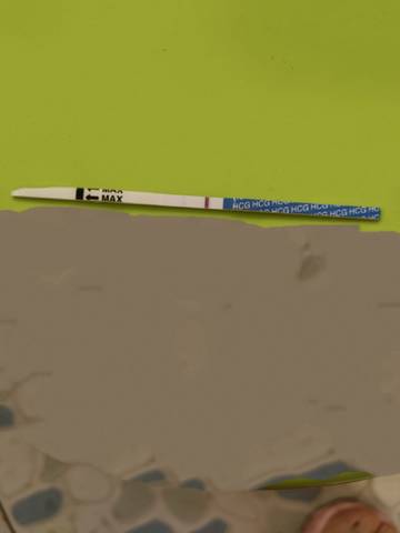 journal_insert_pic_1685924869