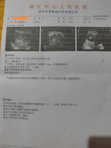 journal_insert_pic_1687913981