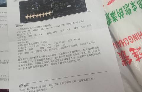 journal_insert_pic_1679941168