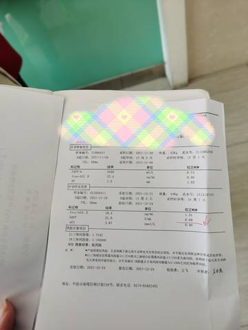 journal_insert_pic_1689543880