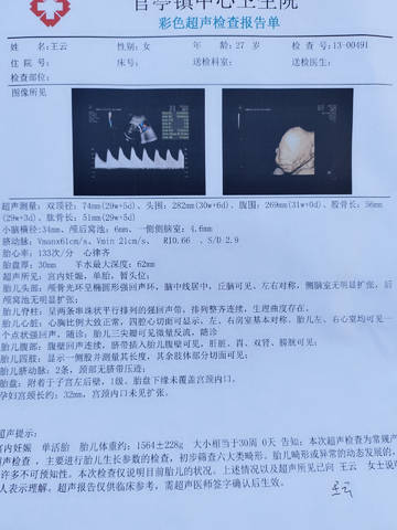 journal_insert_pic_1681343753