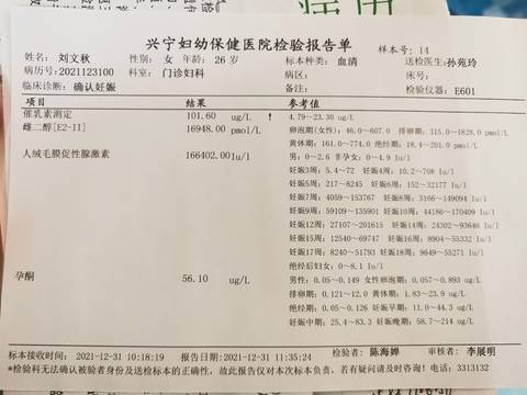 journal_insert_pic_1689717262