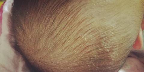 journal_insert_pic_1674382026