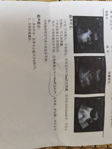 journal_insert_pic_1685482425