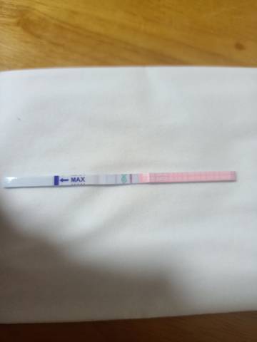 journal_insert_pic_1687231500
