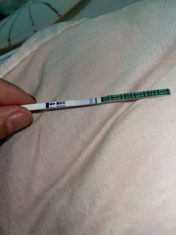 journal_insert_pic_1688464018