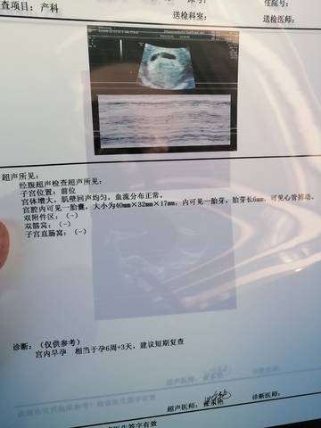 journal_insert_pic_1689443151