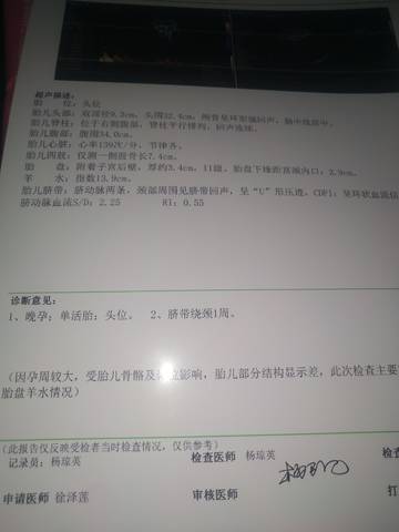 journal_insert_pic_1680996845