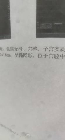 journal_insert_pic_1689584699