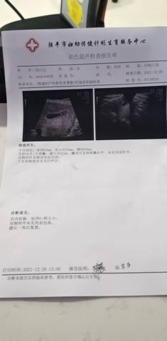journal_insert_pic_1689842992