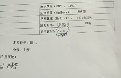 journal_insert_pic_1675842828