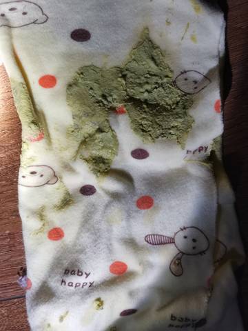 journal_insert_pic_1688703067
