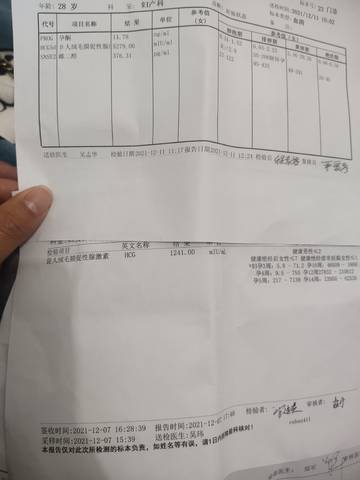 journal_insert_pic_1677976017