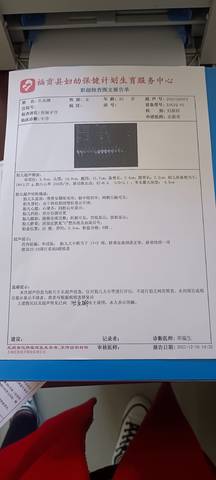 journal_insert_pic_1681120421