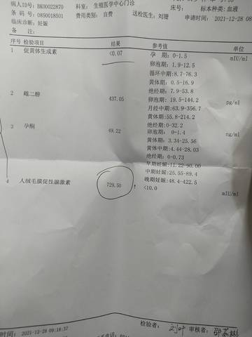 journal_insert_pic_1689576374