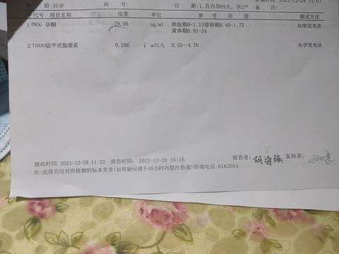 journal_insert_pic_1689660916