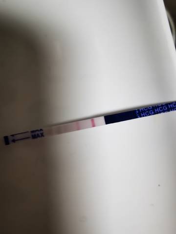 journal_insert_pic_1683404955