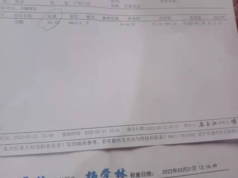 journal_insert_pic_1741105071