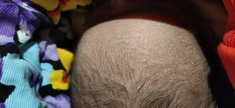 journal_insert_pic_1684554360