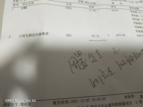 journal_insert_pic_1675556933