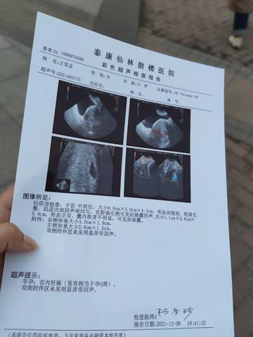 journal_insert_pic_1677022774
