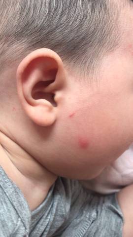 journal_insert_pic_1681365001