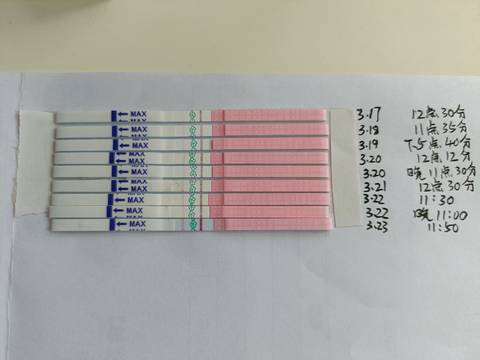 journal_insert_pic_1740861502