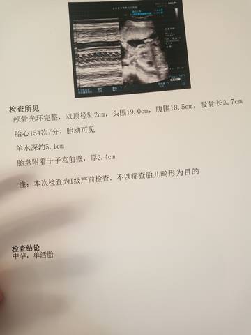 journal_insert_pic_1676697371