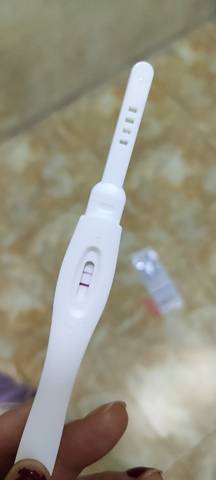 journal_insert_pic_1675684422