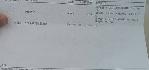 journal_insert_pic_1740946851