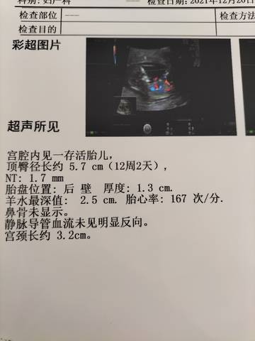journal_insert_pic_1683449042