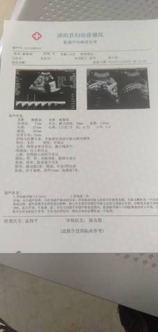 journal_insert_pic_1675019112