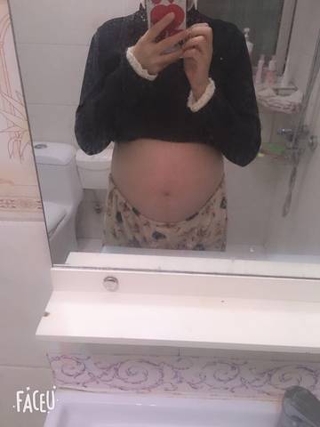 journal_insert_pic_1679245804