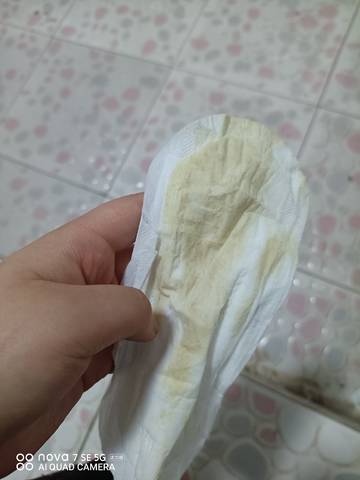 journal_insert_pic_1674305848