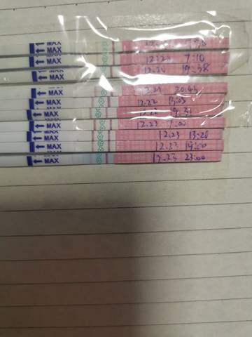 journal_insert_pic_1685013185