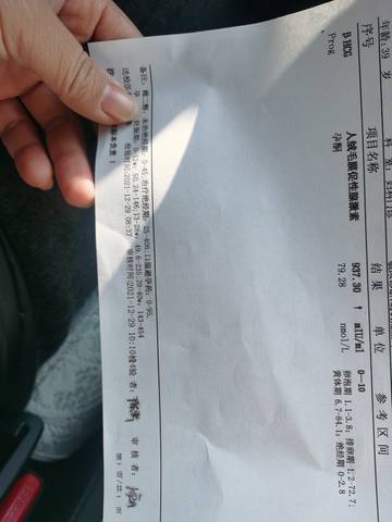 journal_insert_pic_1688300461