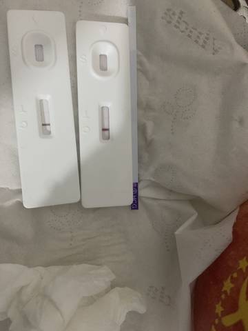 journal_insert_pic_1689543570