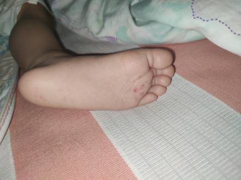 journal_insert_pic_1686215591