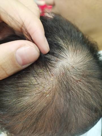 journal_insert_pic_1687806922