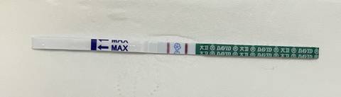 journal_insert_pic_1684289631