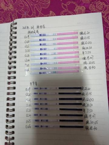 journal_insert_pic_1686810722