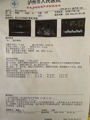 journal_insert_pic_1673444403