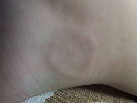 journal_insert_pic_1673105599