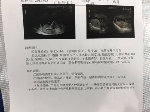 journal_insert_pic_1687571202