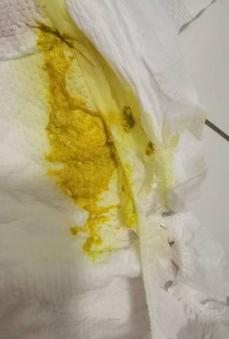 journal_insert_pic_1683404799